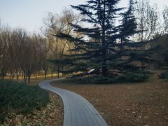 -南长河公园