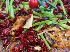 -老板恋上鱼(恒隆广场店)