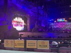 -广州长隆国际大马戏