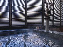 -春晖园度假酒店温泉