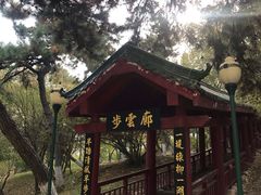 景点-沈阳南湖公园