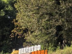 -塔川景区