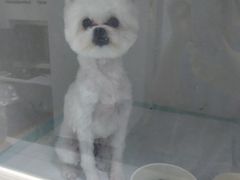 -宠颐生动物医院·心脏科·保险定点(锦阳分院)