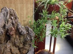 -正源安吉白茶特产享购商场(安吉店)