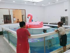 -优加国际游泳中心(开发区万达店)