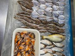 -鑫渔港海鲜本地菜·山海关浑锅(东戴河店)
