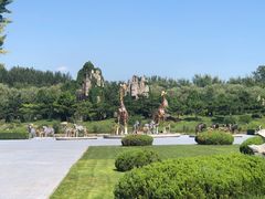 -北京野生动物园