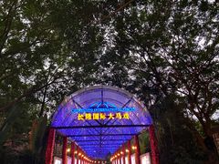 -广州长隆飞鸟乐园