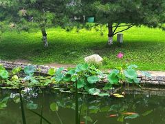 -三里河公园