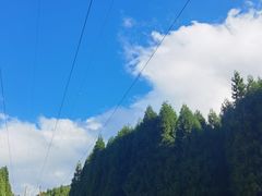 -武陵山森林公园