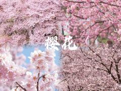 -苏州上方山国家森林公园