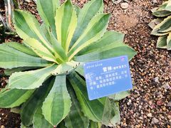 -南山植物园