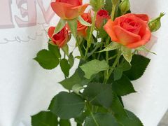 -FEI FEI FLOWER鲜花店·气球派对·宝宝宴布置(虹口德必运动Loft店)