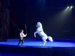 -珠海横琴长隆《卡卡虎奇遇记》