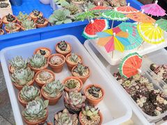 -浙江省杭州高级中学(贡院校区)