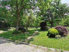 -上海海湾国家森林公园