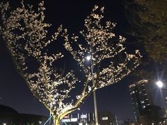-宁波儿童公园(鄞州区)