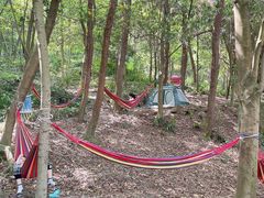 -铁山坪森林公园