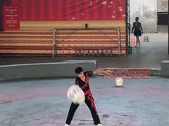 -石家庄极地海洋世界