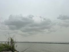 -合肥滨湖国家森林公园