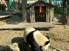 -大连森林动物园