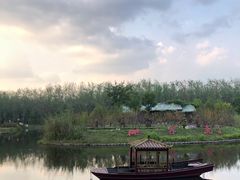 -合肥滨湖国家森林公园