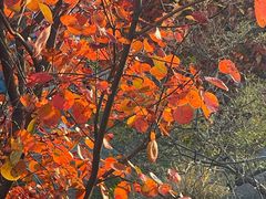 -青州市云门山风景区
