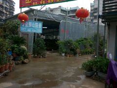 -桂林市花鸟市场