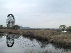 -苏州太湖湖滨国家湿地公园