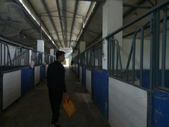 -重庆和泰马术俱乐部