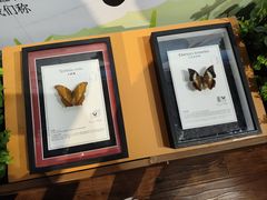 -萌宠奇缘(荣鼎店)