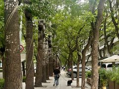 -BOCATA 西班牙餐厅(三里屯店)