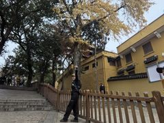 -灵岩山风景区