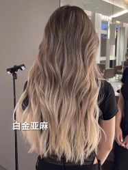 -藤野造型烫发染发