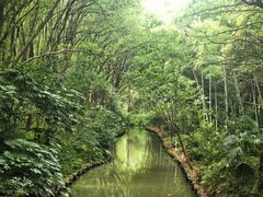 -同里国家湿地公园