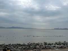 -深圳湾公园(南山区)