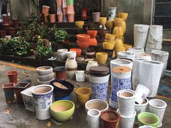 -金陵花卉交易市场