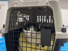 -达爱动物医院·犬猫分区·CT·复杂眼科(远洋山水分院)
