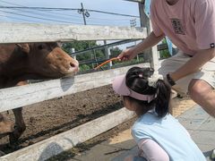 -大连铭湖国际观光牧场