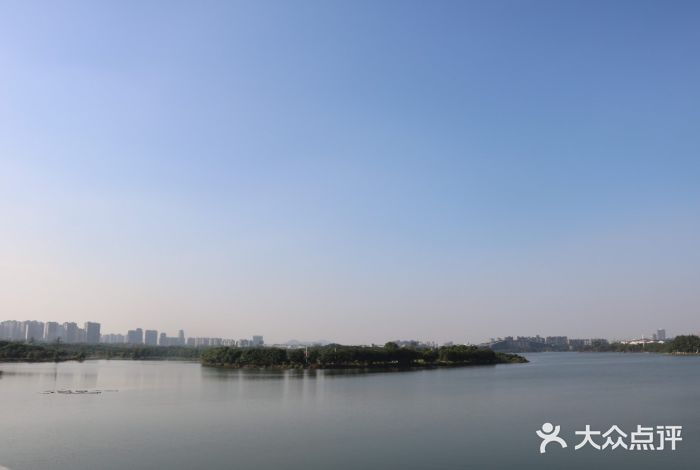 松山湖南湖湾露营营地图片