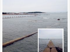 2y-青岛第二海水浴场