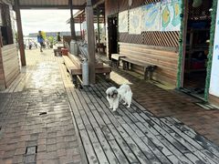 -卡帕莱度假村(西巴丹岛)