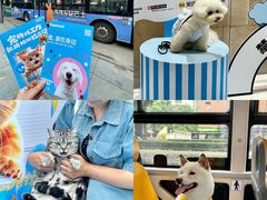 -帕帕拉兹宠物(亚洲旗舰店)