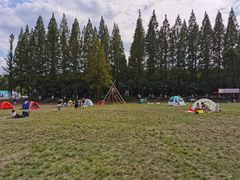 -黄海国家森林公园