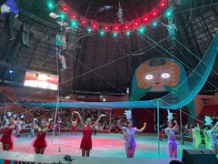 -俄罗斯国家大马戏团