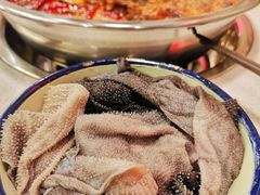 鲜毛肚-电台巷火锅(科华总店)