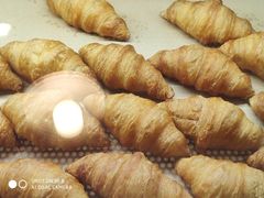 -1868 Café(自然博物馆店)