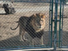 -鄂尔多斯野生动物园