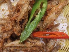 -崖口红树林海鲜餐厅