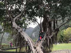 -太鲁阁公园